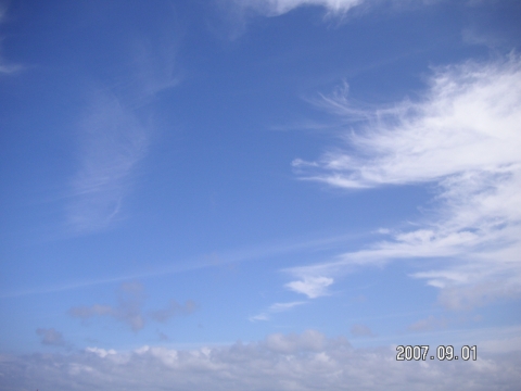 s_PICT0696.jpg